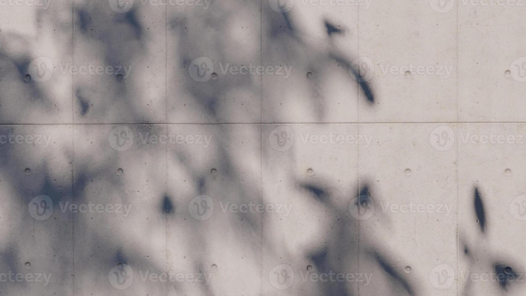shadow overlay wall texture a sunlight leaf shade abstract 3d render. photo