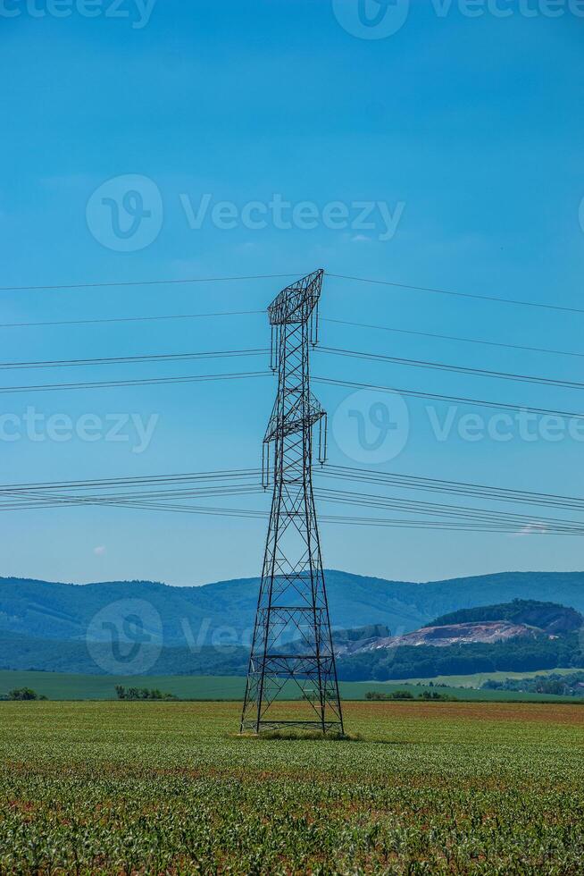 High voltage lines and power pylons in green landscape on a sunny day with clouds in the blue sky. photo