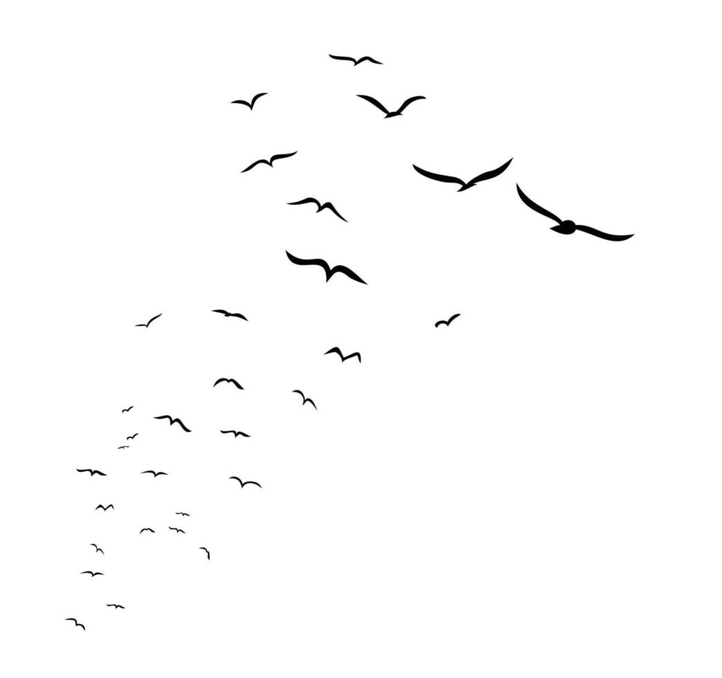 Weeds packs of sea birds. vector