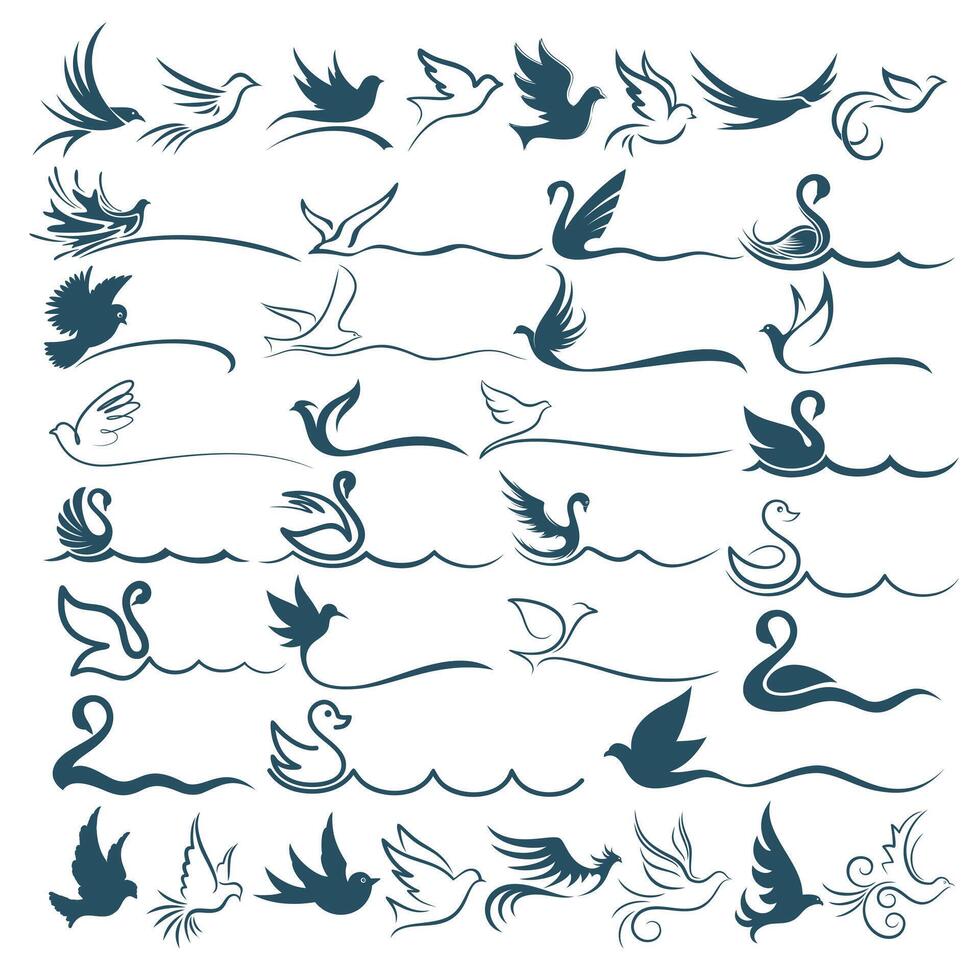 The big set of stylized birds symbols. vector