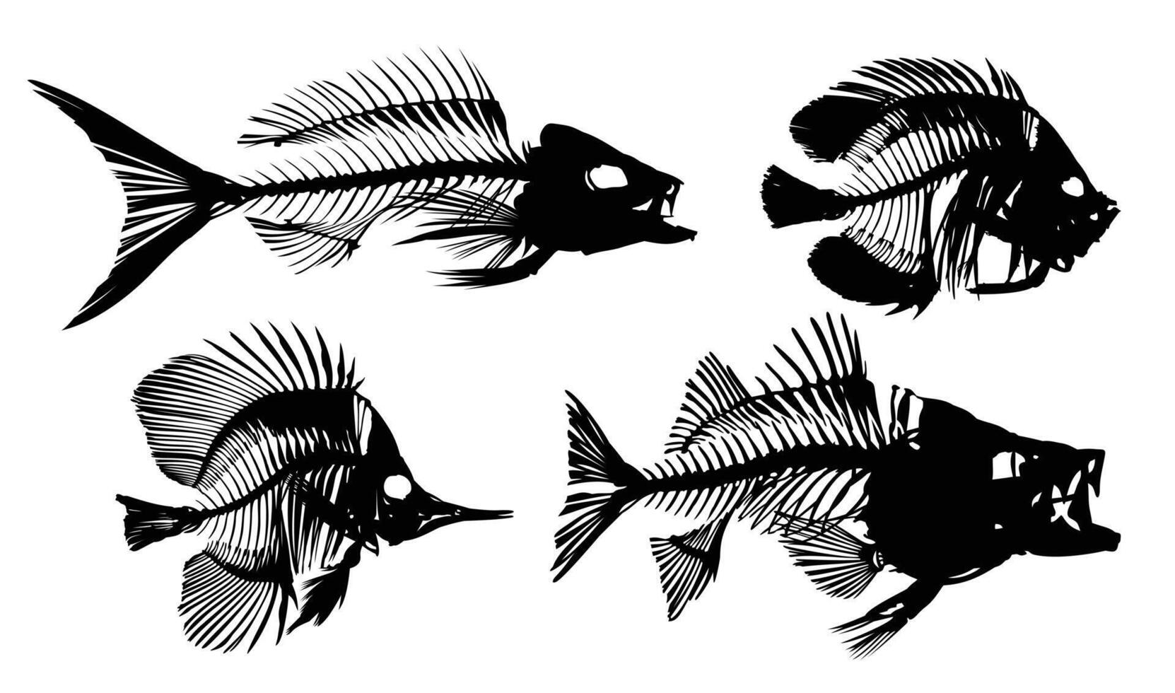 Skeletons of big predatory sea fishes. vector