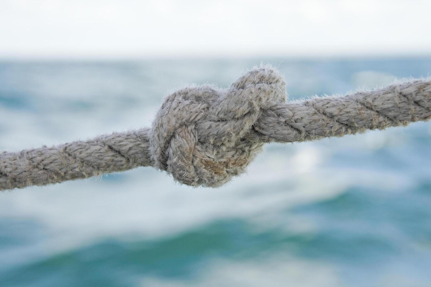 Knot on a rope 3 photo