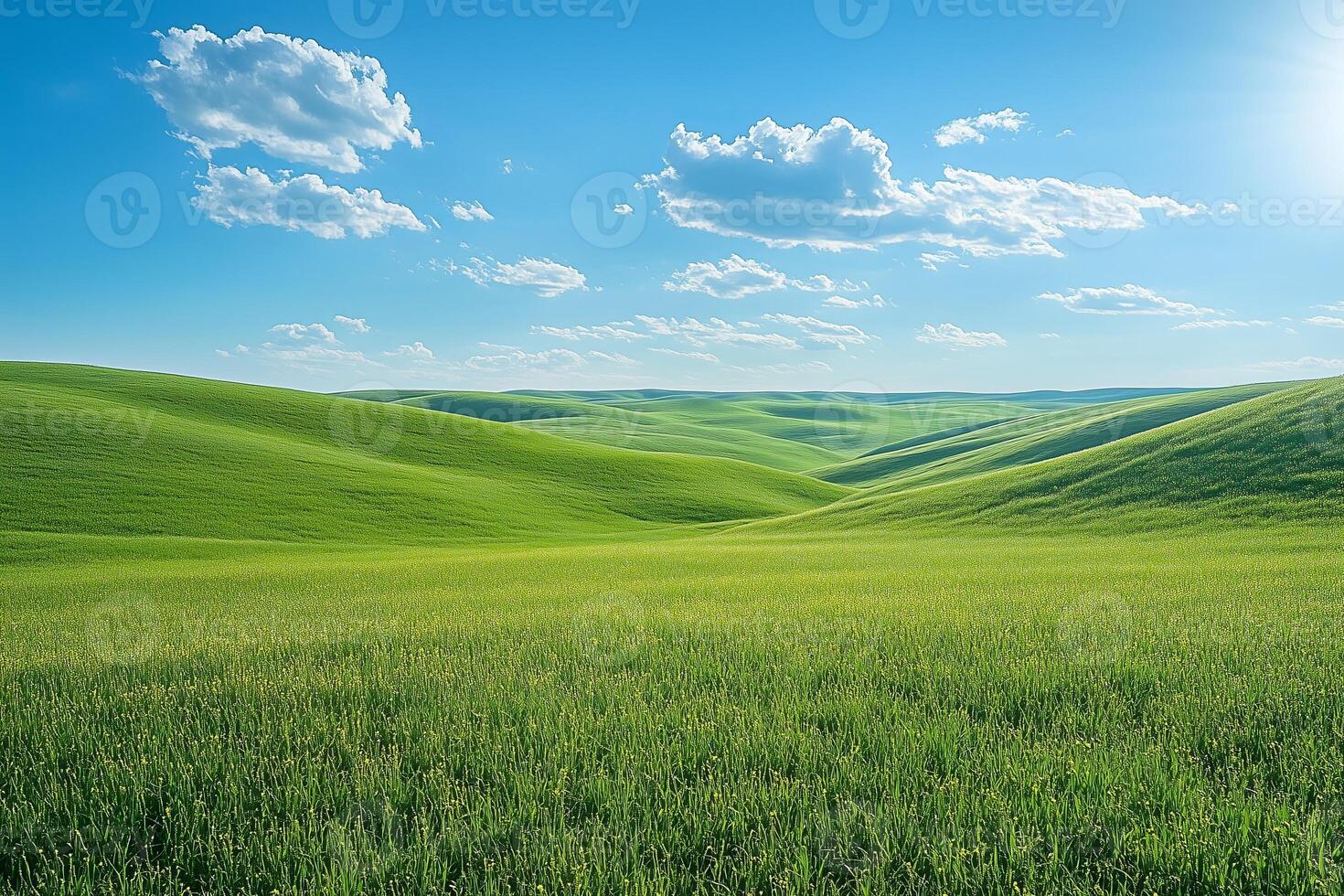 Palouse hills landscape showing green meadows and blue sky with clouds photo