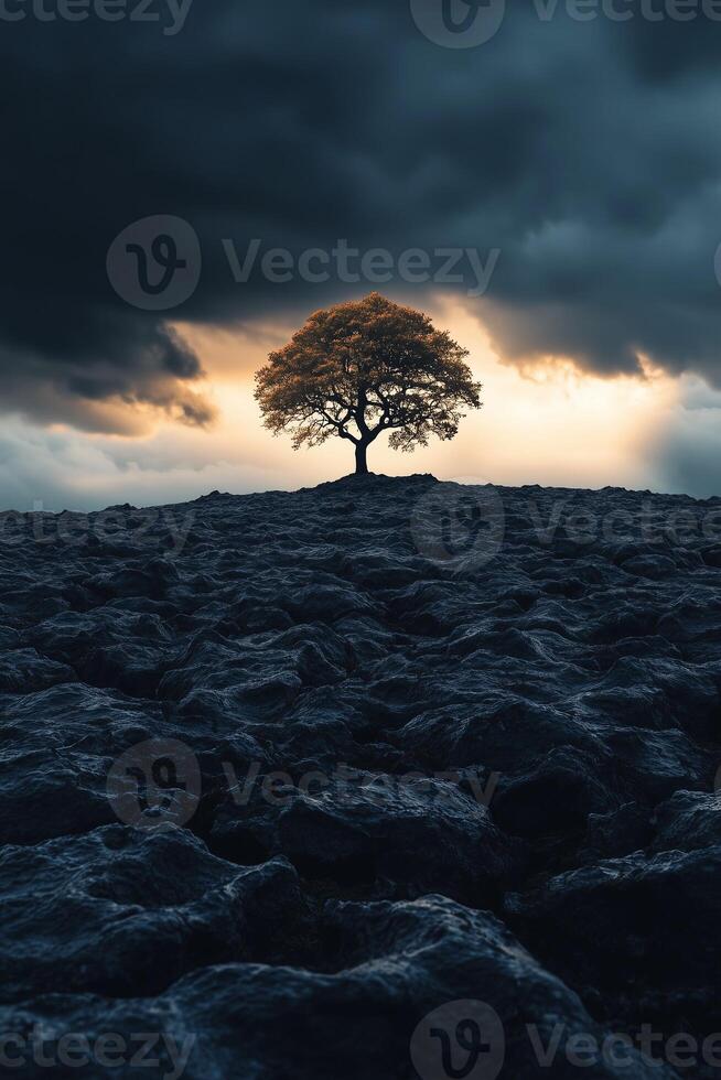 Lonely tree standing on a rocky hill at sunset under dark clouds photo