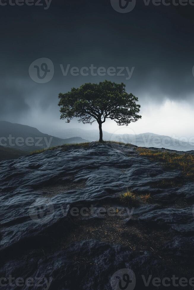 Lonely tree growing on a rocky hill under a stormy sky photo