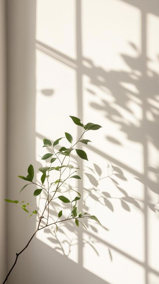 A plant is sitting in front of a window with shadows photo