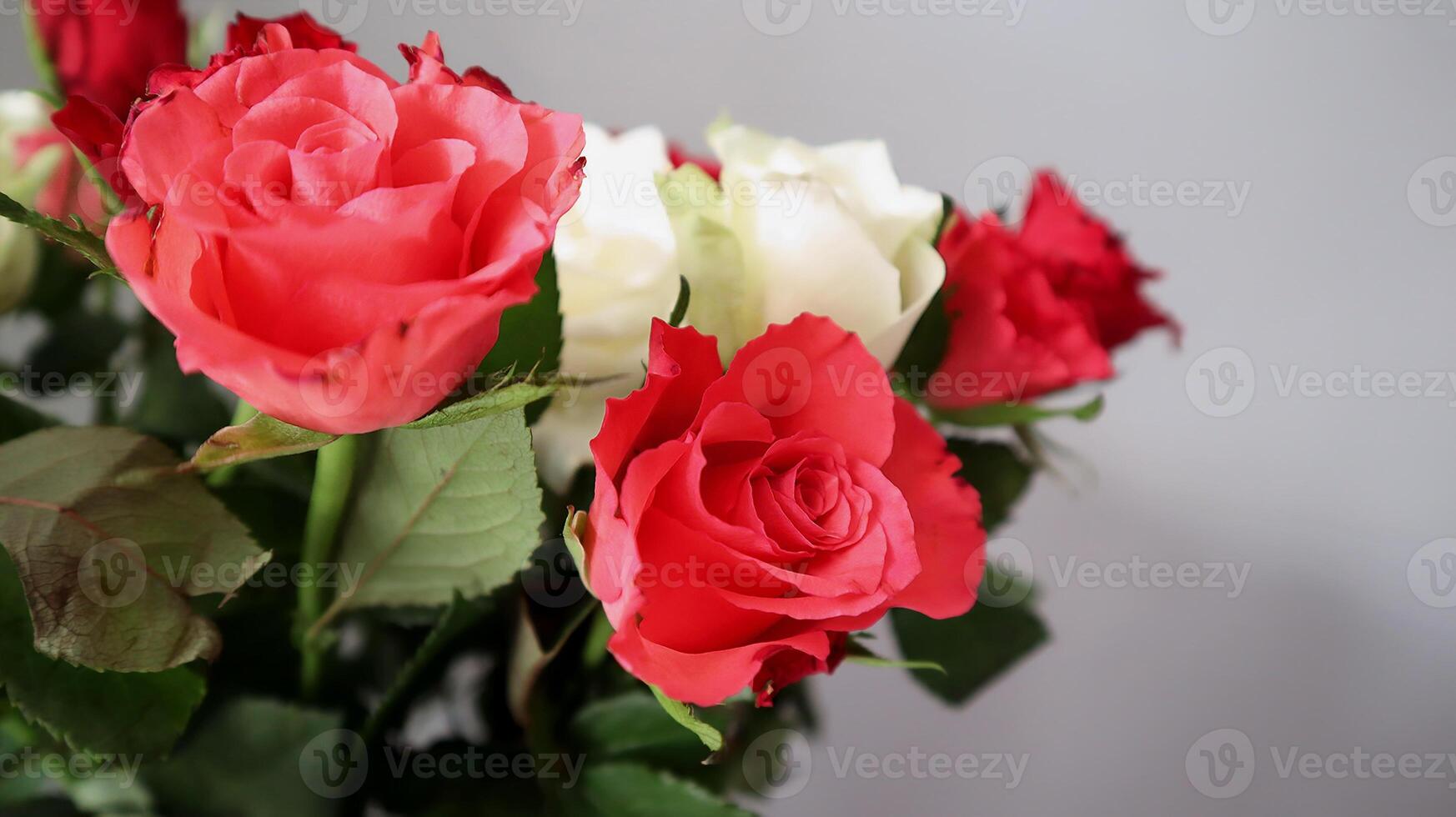 Bouquet of red and white roses on a neutral background. Close-up of a beautiful bouquet of red and white roses with green leaves, captured against a soft neutral background. photo