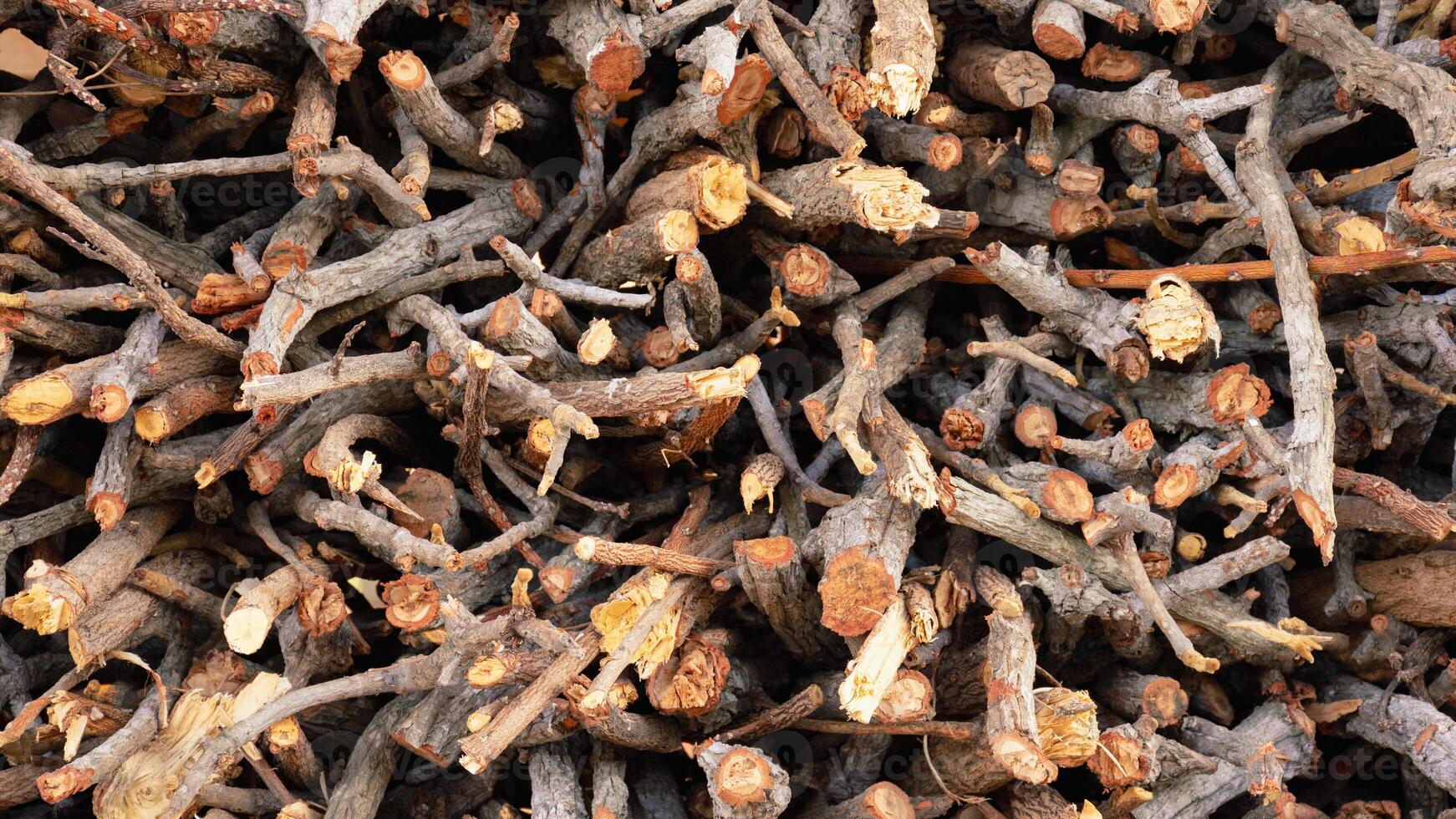 Arrangement of small pieces of wood into piles for winter firewood and use as fuel in the home. Textured Background. photo