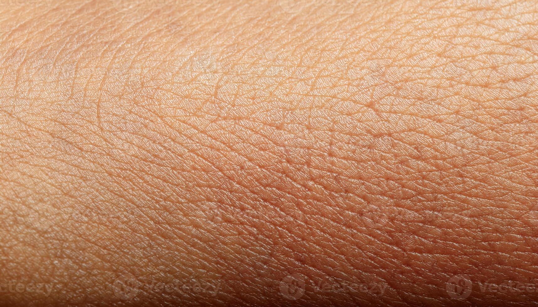 extreme close-up ultra-detailed macro texture of veiny human skin surface with fine lines and subtle vascular patterns for anatomy reference, dermatology and realistic 3d modeling photo
