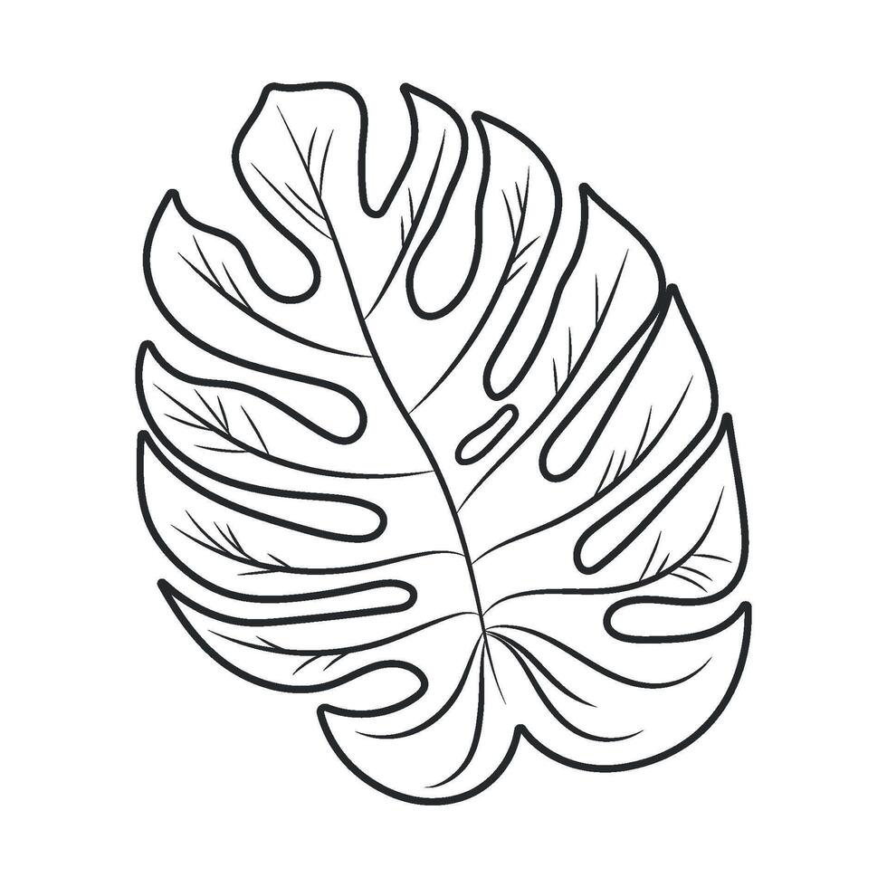 Monstera Leaf Isolated Illustration. Outline modern style. Elegant and simple black botanical sketch for summer projects and designs vector