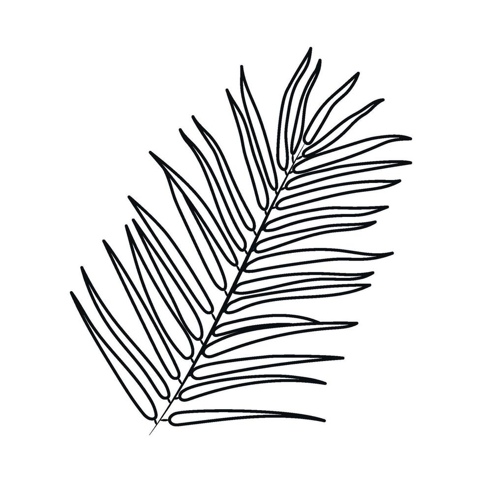 Palm Leaf Illustration. Outline modern style. Elegant and simple black botanical sketch for summer projects and designs vector