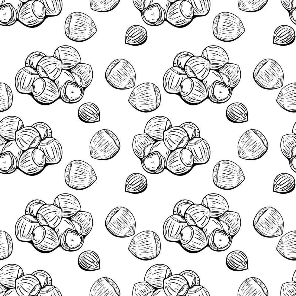 Seamless hazelnut pattern in monochrome hand drawn sketch style vector
