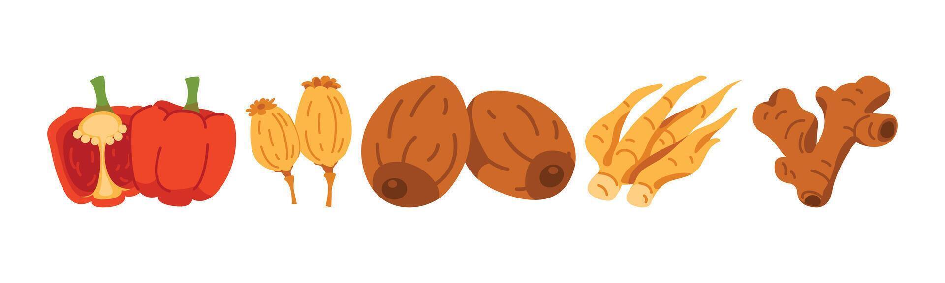 Diverse culinary elements including paprika, aromatic ginger, and sweet dates. These healthy and natural ingredients offer essential nutrition for culinary creations vector
