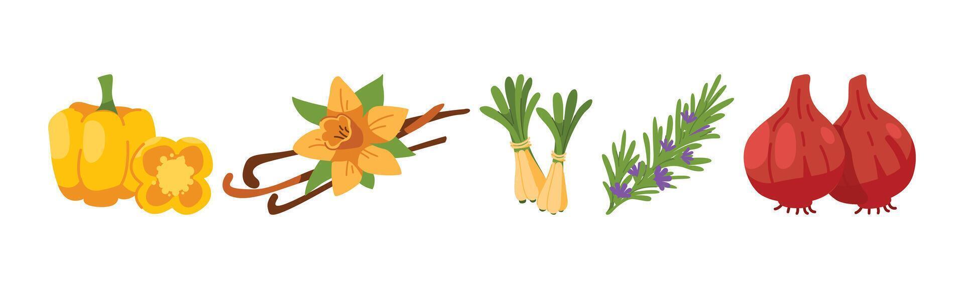 A diverse assortment of fresh culinary ingredients, including bell peppers, vanilla beans with flower, lemongrass, rosemary sprigs, and red onions. Perfect for culinary projects and educational. vector