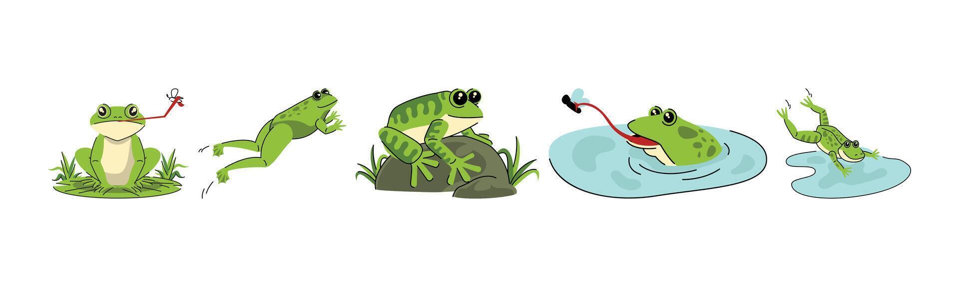 A cartoon illustration showcasing five frogs in different poses and activities. Ideal for children's books, educational materials, and nature-themed projects. vector