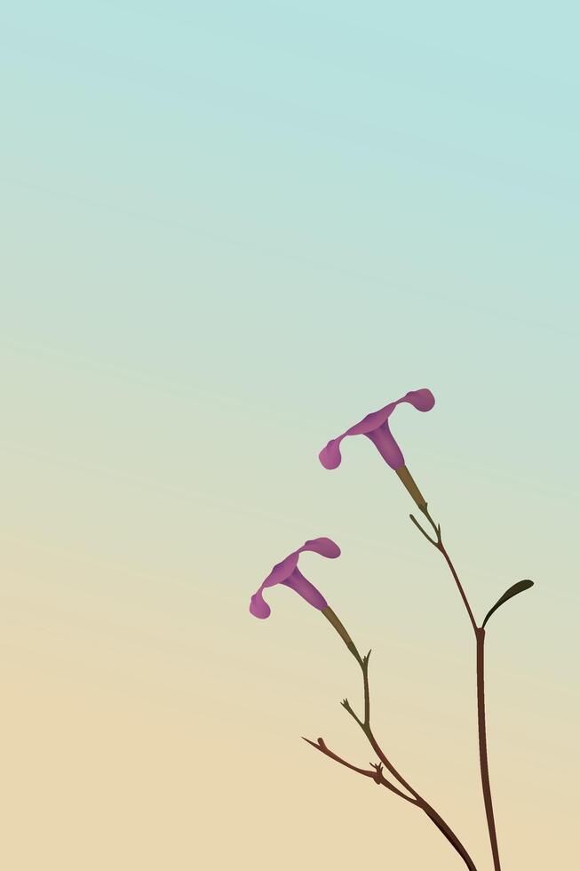 Silhouette minnieroot flowers with sunrise sky vertical background graphic illustration have blank space. vector