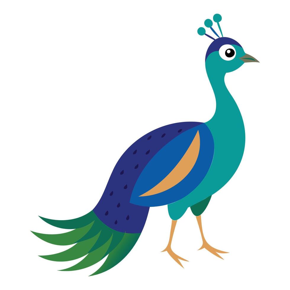Elegant Peacock Bird Graphic Artwork vector