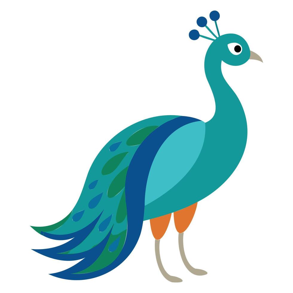Colorful Peacock with Feathers Design vector