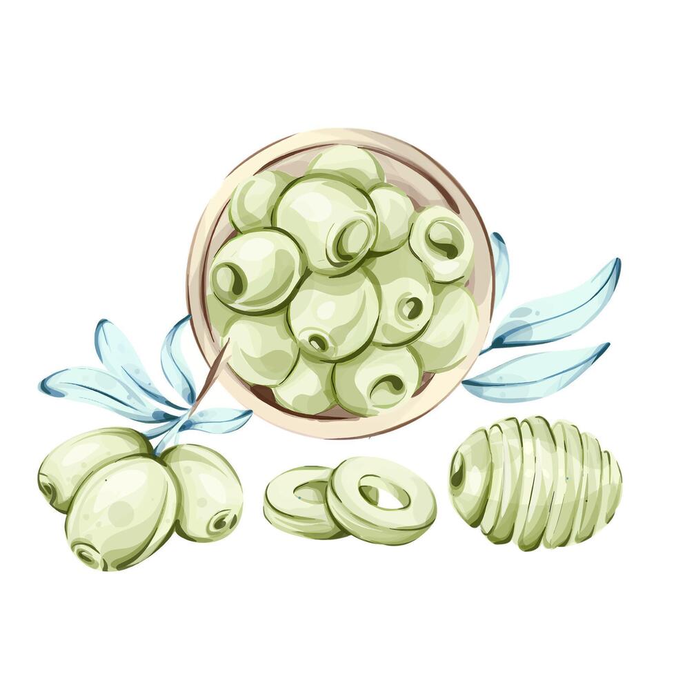 Elegant watercolor illustration of olives and olive oil capturing the essence of Italian cuisine and nature vector