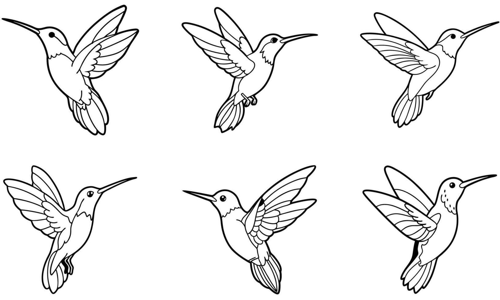 Six Hummingbird Line Art Illustrations for Design vector