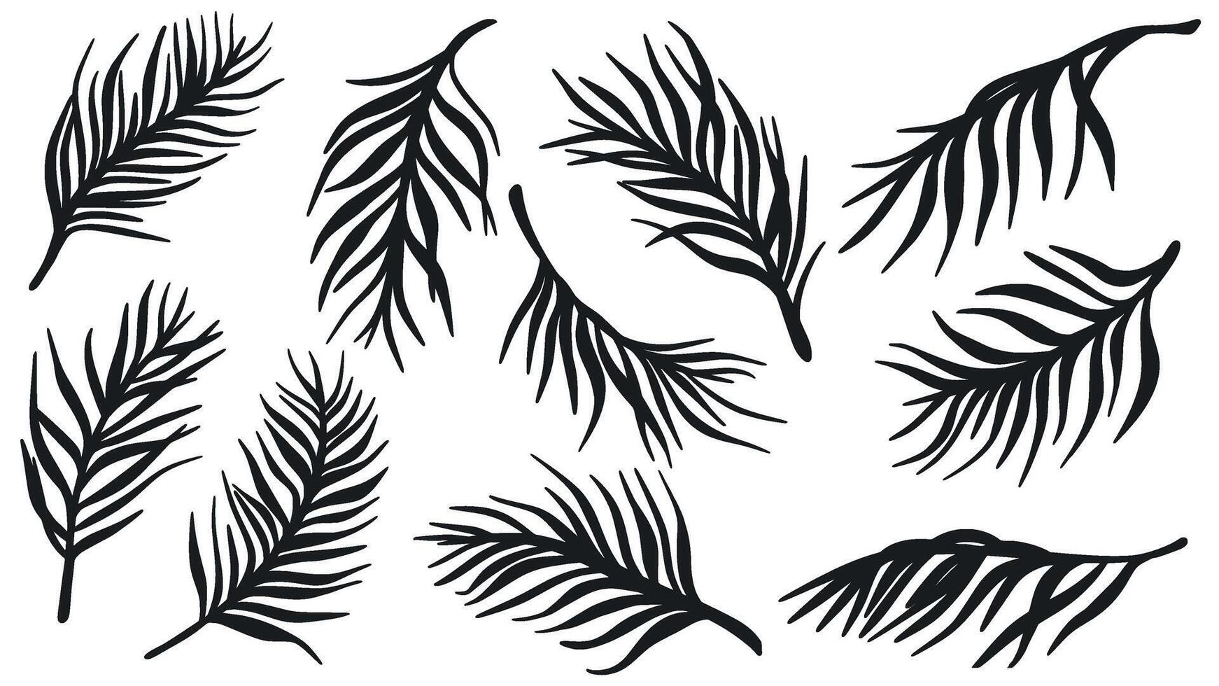 Palm leaves in silhouette set vector