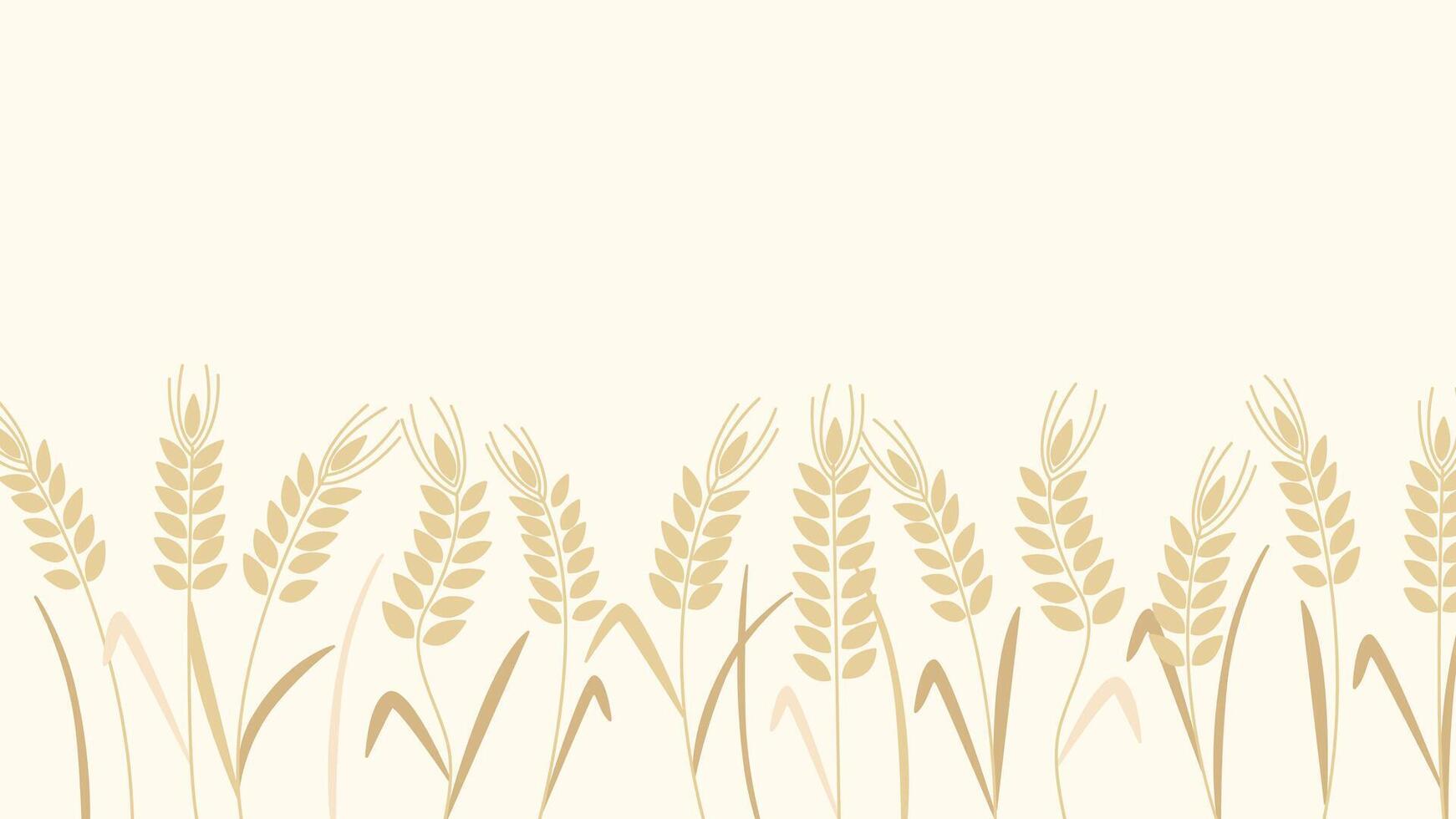 Horizontal banner spikelets of ripe wheat vector