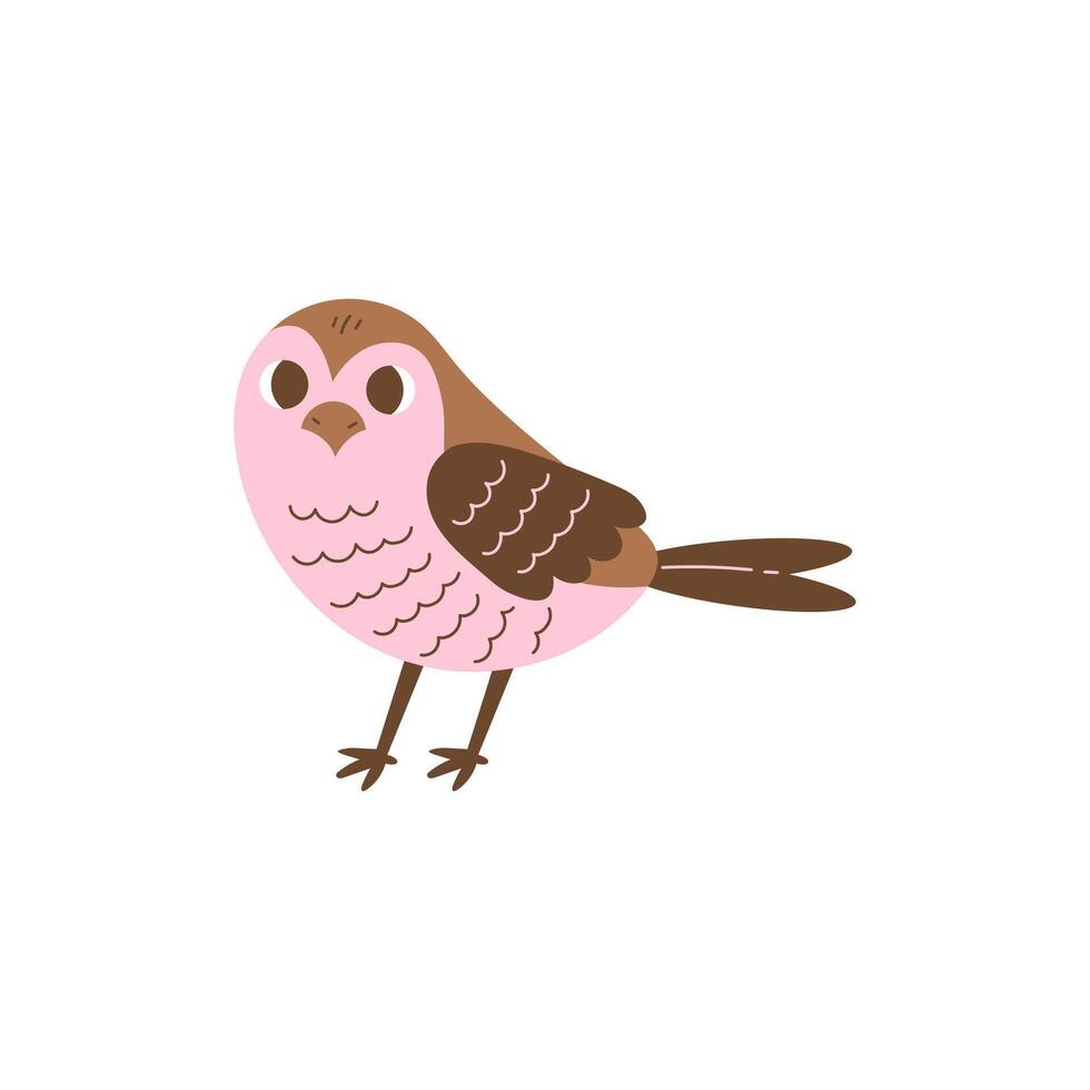 Cartoon Sparrowhawk Illustration vector