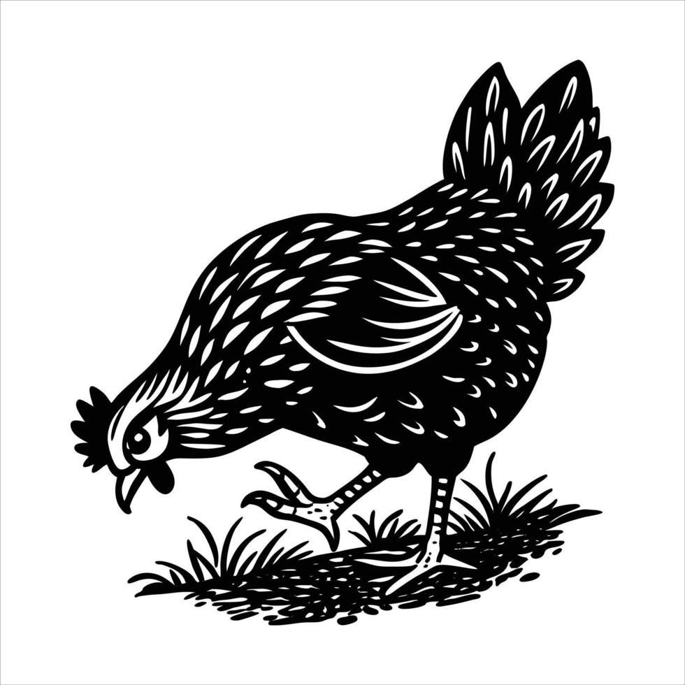 naturalistic of a chicken scratching vector