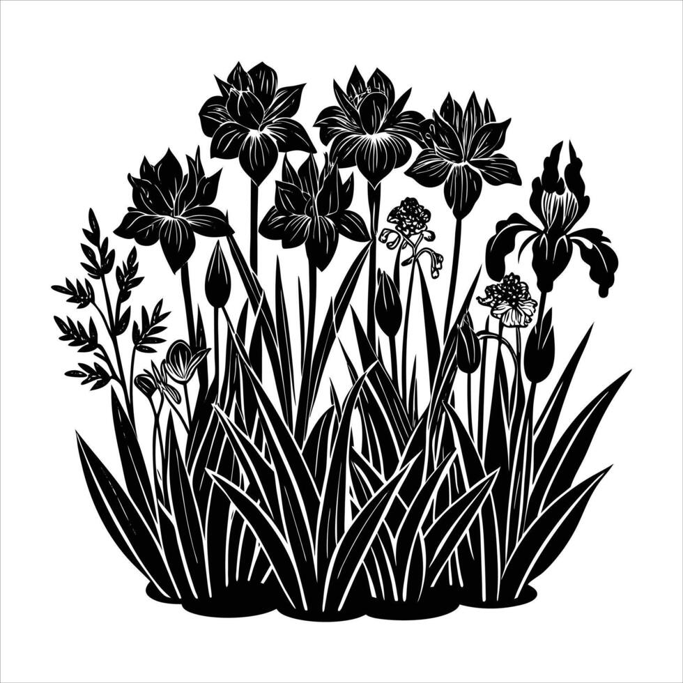 Bouquet of gladiolus flowers vector