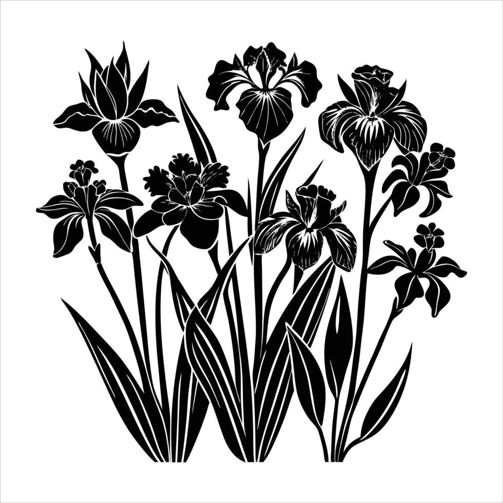 different species of iris flower vector