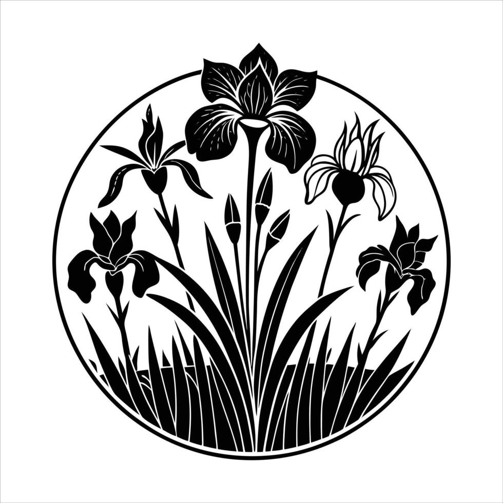 discuss how irises adapt to different vector