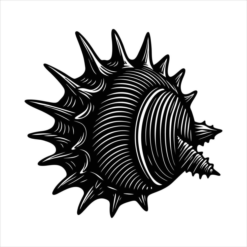 Spiky Sea Shell Stock vector