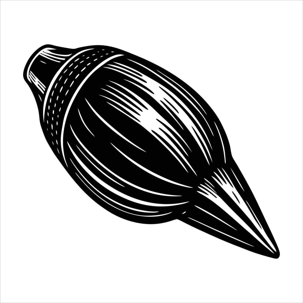 Olive Shell Vectors