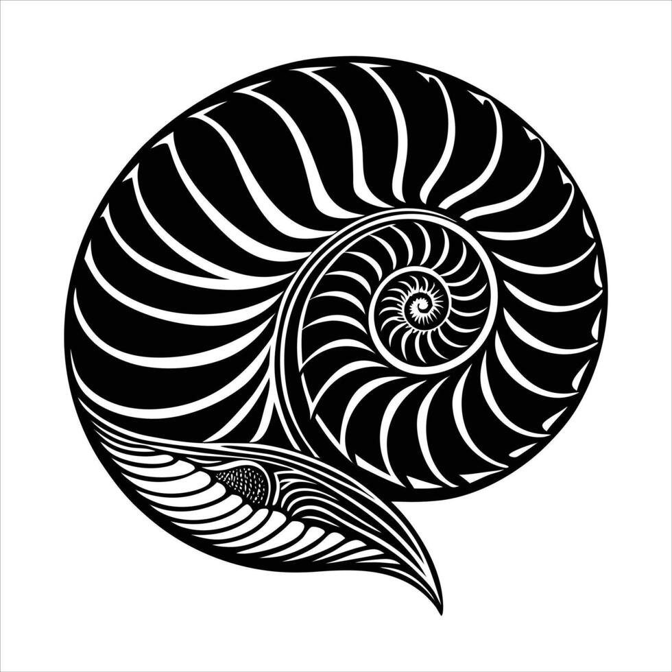 Nautilus Shell Spiral vector