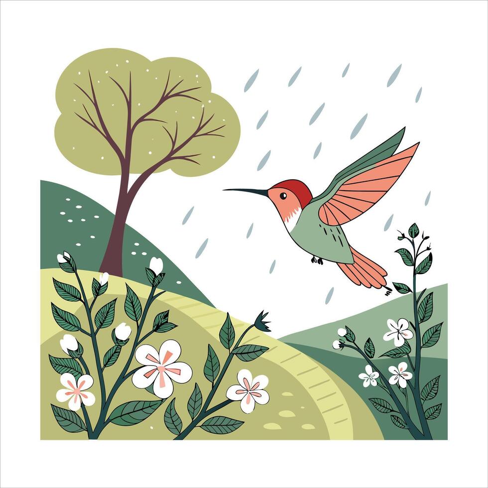 Hummingbird Migration Vectors