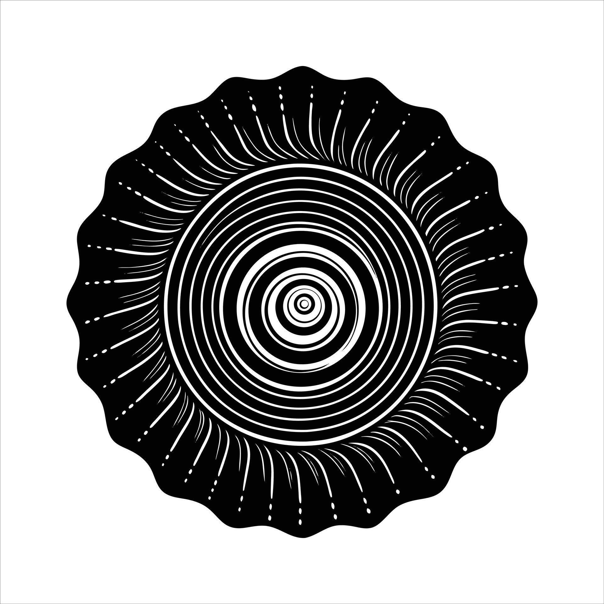 Spiral Shell Pattern 60617097 Vector Art at Vecteezy