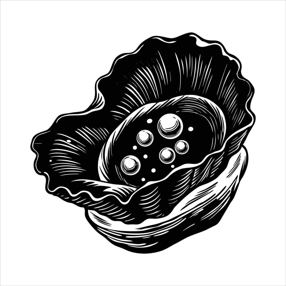 Oysters Shells Rough Irregular Made vector