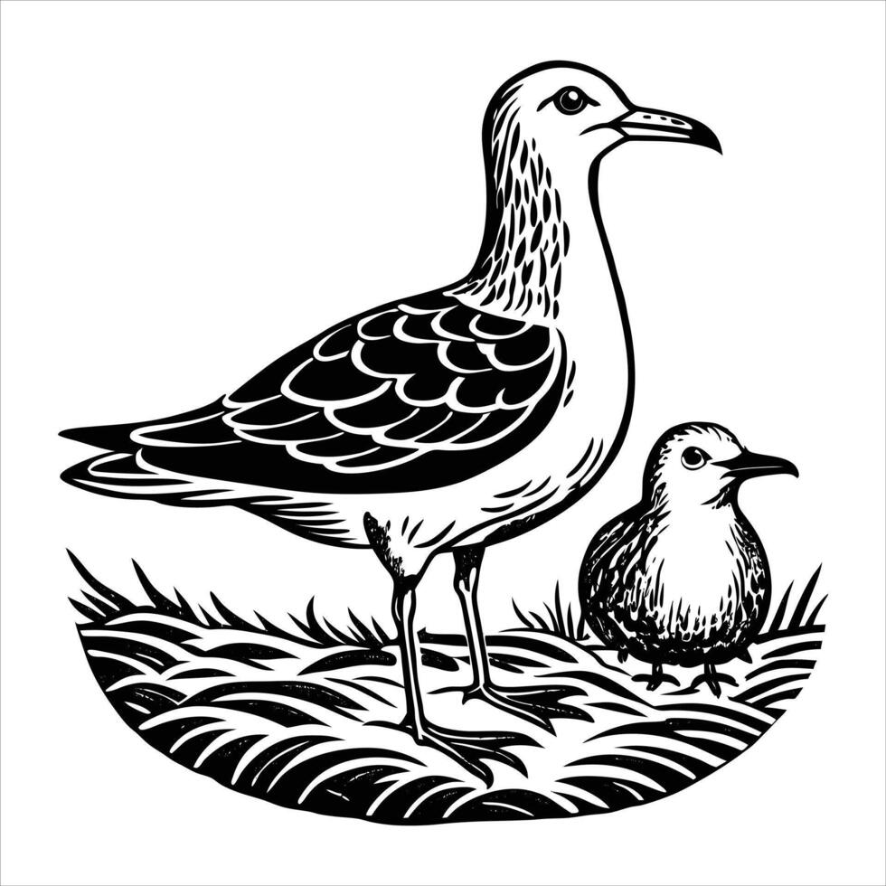 baby seagull chick standing mother vector
