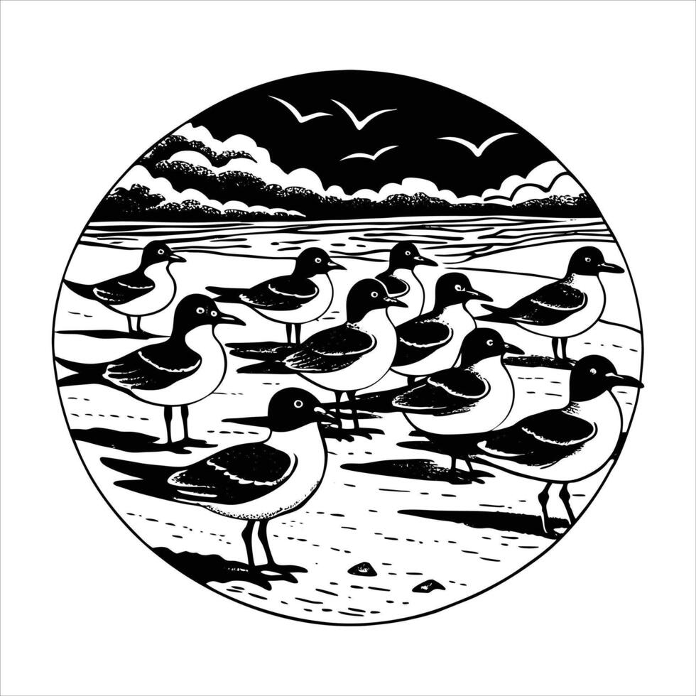 Laughing Gulls Stock vector