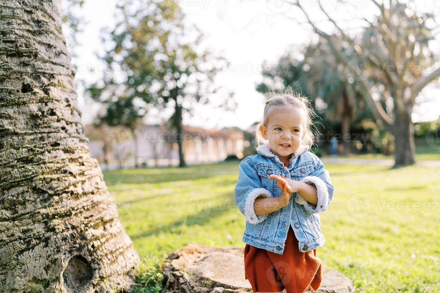 Little girl stands near a tree in a sunny meadow and cunningly rubs her hands photo