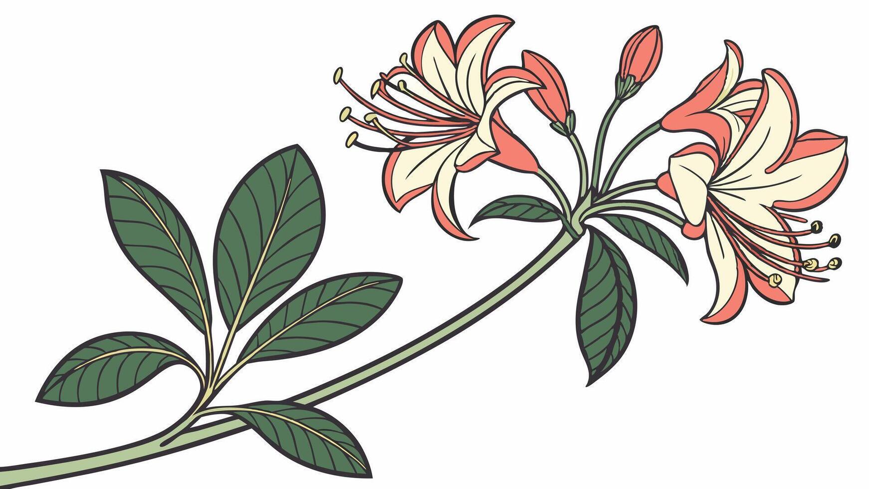 a flower with leaves and flowers on a white background vector