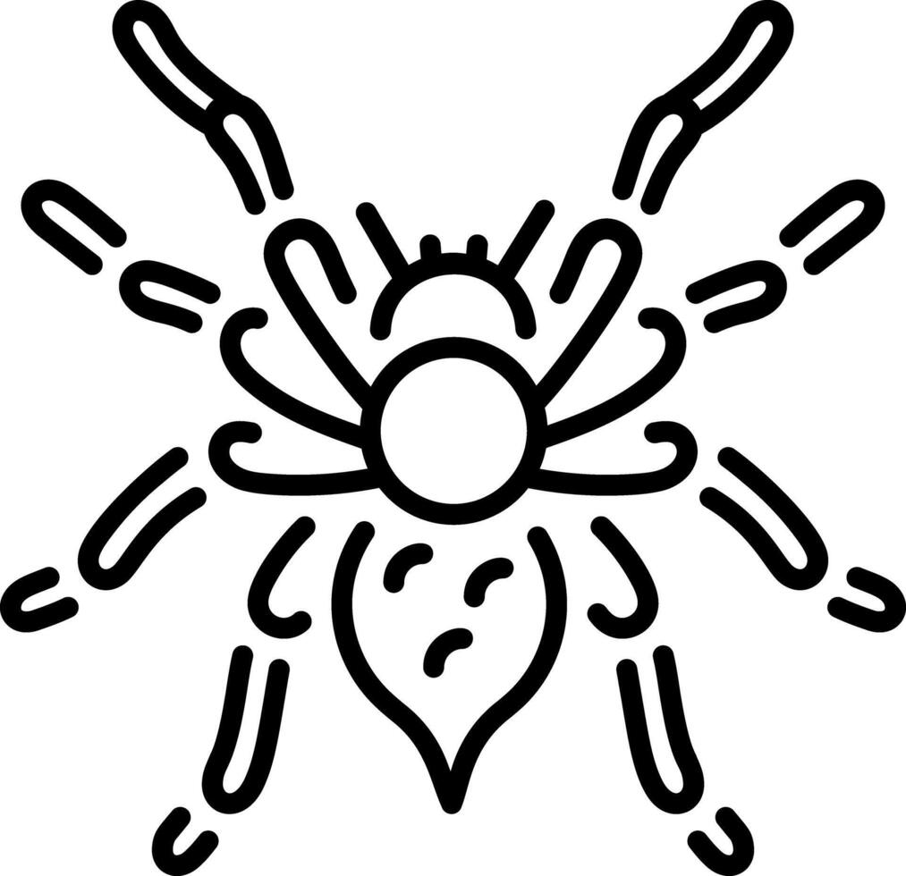 A spooky spider icon in linear style vector