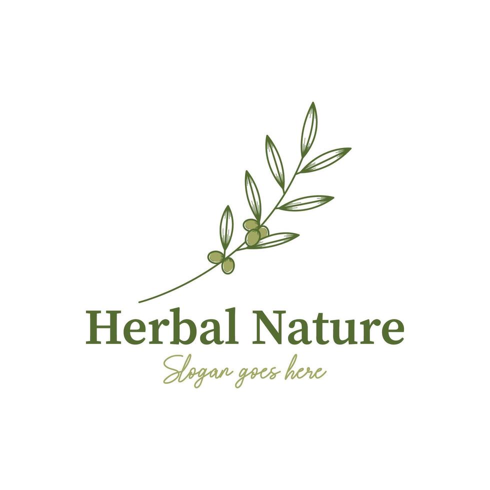 Herb nature logo design template vector