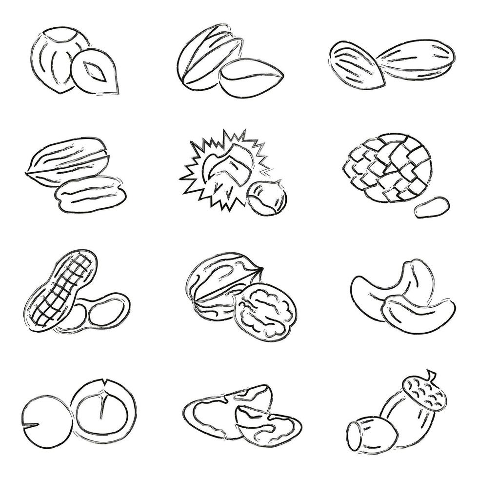 Collection of different nuts with artistic brush strokes. Different nuts. Healthy eating concept. vector