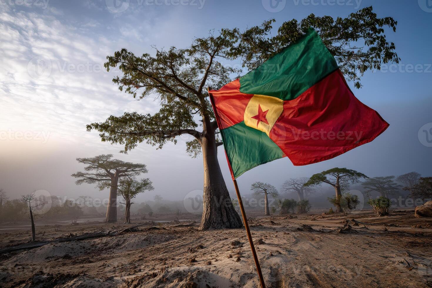 Flag of Cameroon waving beside a baobab tree in a misty landscape at dawn photo