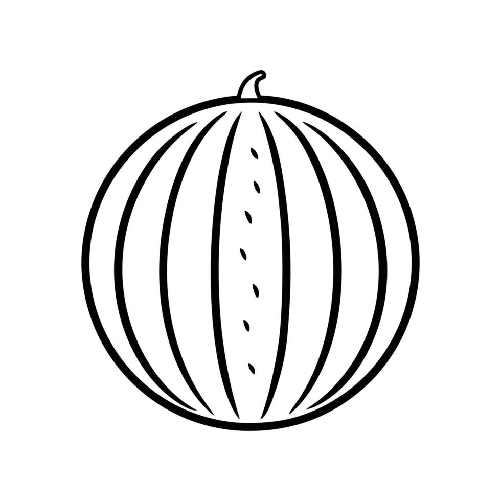 Watermelon line art in black and white vector