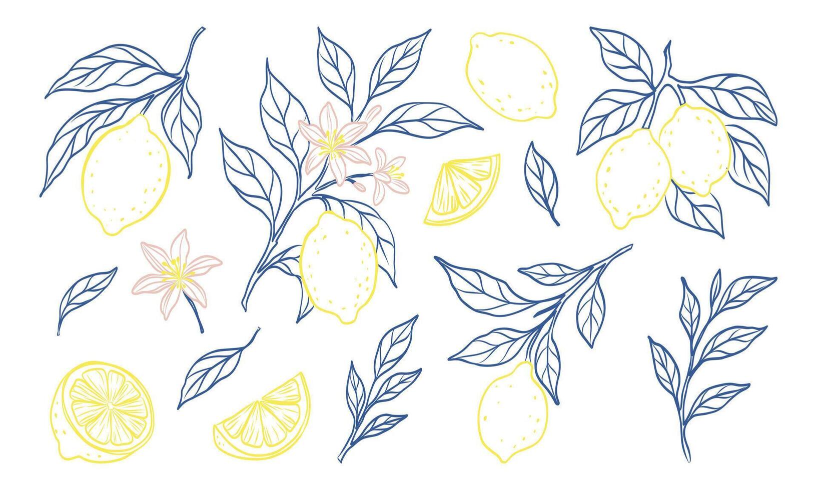 A drawing of lemons and leaves with a blue and yellow color scheme. The drawing is of a variety of lemons and leaves, with some of the lemons being sliced. The mood of the drawing is bright vector