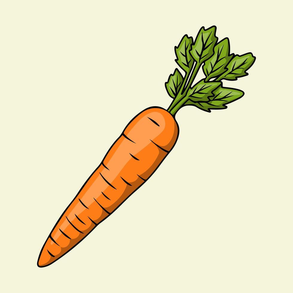 Fresh orange carrots with leaves vector