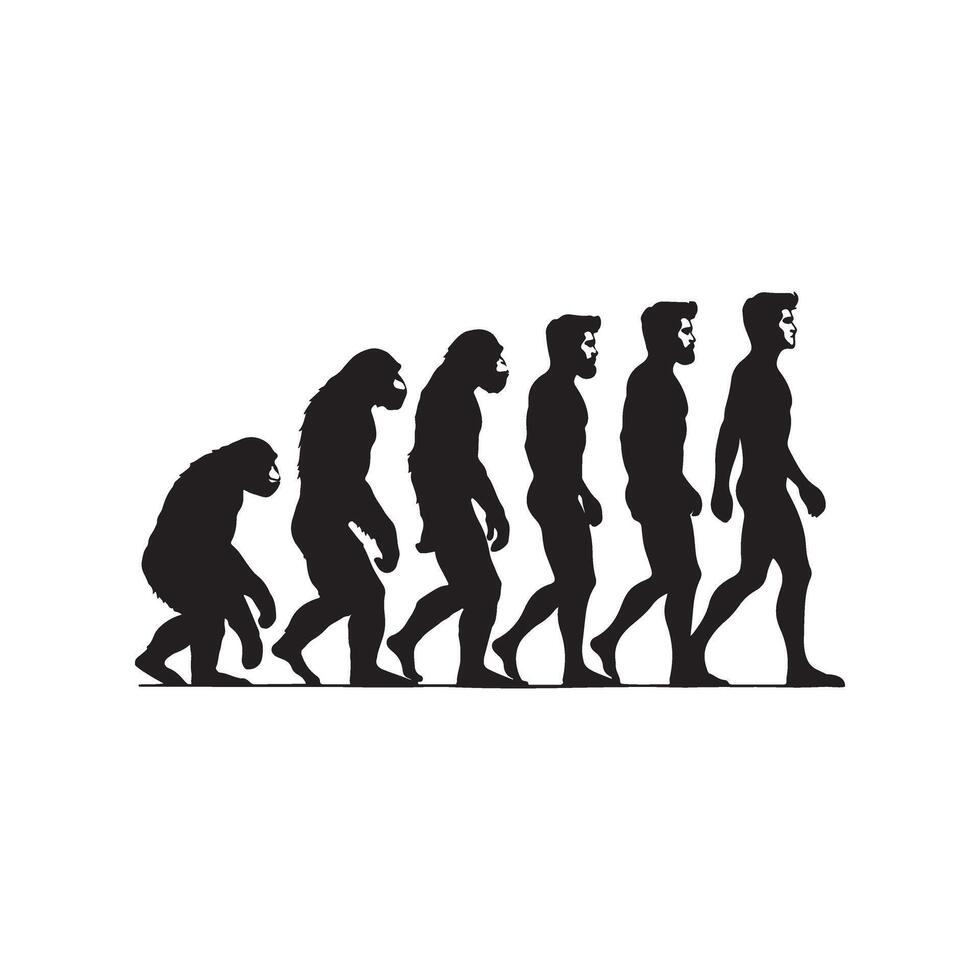 Evolution of man men's t-shirt by jimmy's shop vector