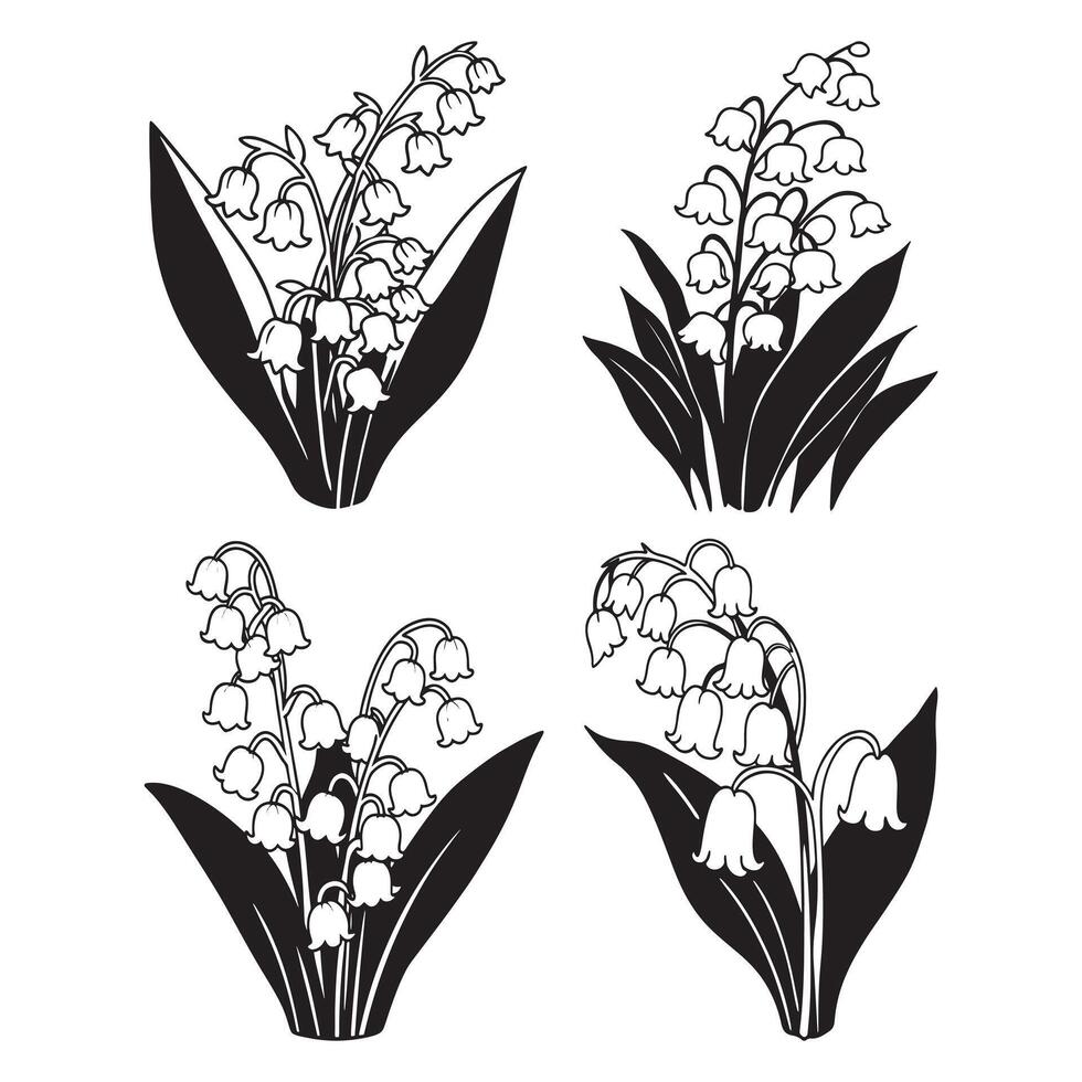 Lily of the valley flower vector